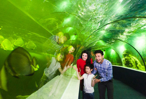 Thủy Cung Vinpearlland Aquarium Times City